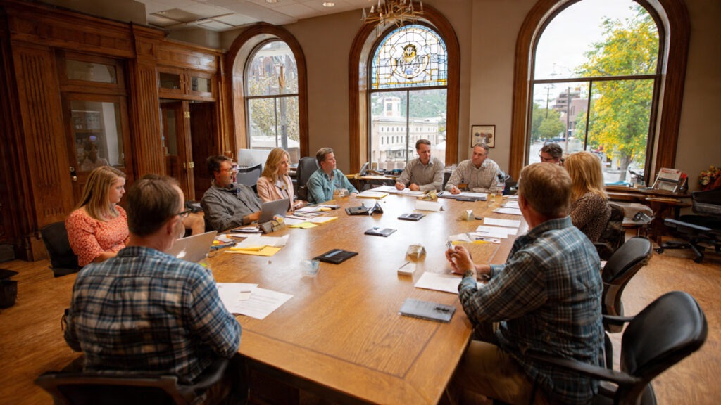 Illinois Public Act 101-0038 Task Force